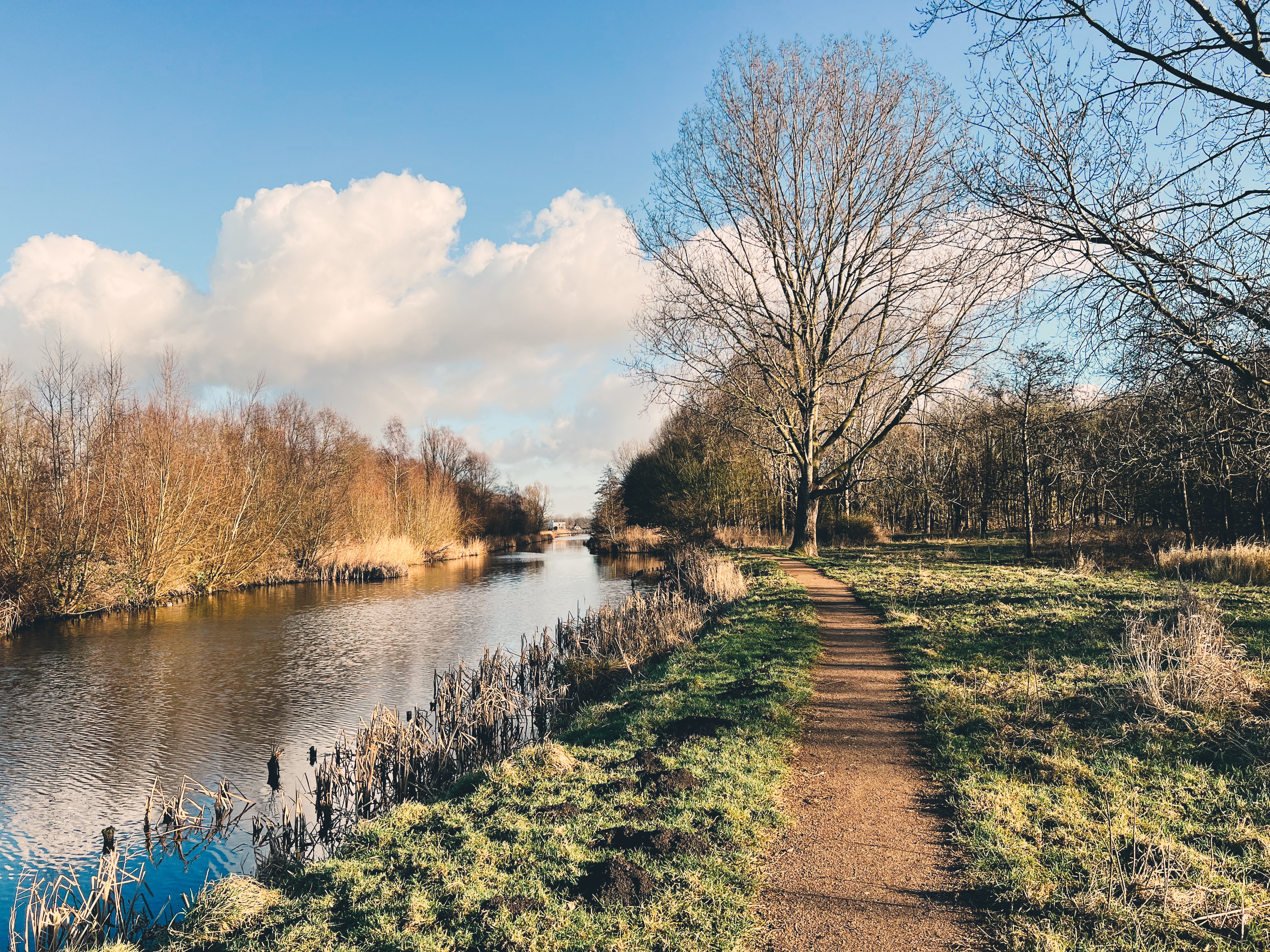 Park Vogelenzang